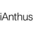 iAnthus Capital Management Logo